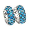 Image 1 : Natural Brazil Paraiba Blue  Apatite Earrings