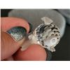 Image 6 : SWAROSVKI BLOWFISH WITH BOX. ARTICLE 7668
