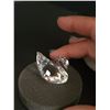 Image 2 : SWAROVSKI SWAN SCS SMALL