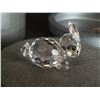 Image 2 : SWAROVSKI RABBIT