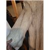 Image 14 : VINTAGE BLUE FOX FUR COAT HUDSON BAY CANADA WITH RECIPT