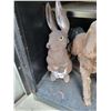 Image 3 : GARDEN LOT DECOR LOT 2