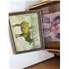 Image 8 : LOT OF VARIOUS PICTURES AND FRAMES LOT 4