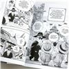 Image 8 : DRAGON BALL COLLECTION 1. VOL. 1-3 MANGA COMIC