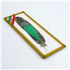 Image 2 : XCARET MEXICO - HAND PAINTED FEATHER - PEACOCK