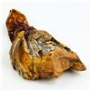 Image 8 : WOOD SPIRIT KNOT HEAD BEARDED MAN CARVING