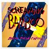 Image 1 : SCREAMING BAMBOO - BREAK THESE CHAINS - VINYL LP