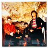 Image 2 : THE LIME SPIDERS - THE CAVE COMES ALIVE! - VINYL LP