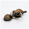 Image 1 : VINTAGE ’89 CASTAGNA TURTLES HATCHING SCULPTURE