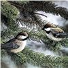 Image 3 : ALBERTA ARTIST JOHN STONE - CHICKADEES - LTD SIGNED