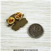 Image 2 : 76TH STURGIS OFFICIAL EAGLE WING BIKER PIN - NEW