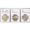 Image 1 : 1923 Set (3) Silver Peace Dollar NGC MS64