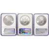 Image 2 : 2008 Set (3) American Silver Eagles NGC MS69