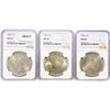 Image 1 : 1923 Set (3) Silver Peace Dollar NGC MS64