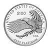 Image 2 : 2023 1 oz Platinum US GEM PROOF OGP