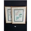 Image 1 : 2 Floral Prints From Bombay Co. "The Rose" & Rosa Damascena Approx. 23 1/2" x 29"