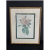 Image 2 : 2 Floral Prints From Bombay Co. "The Rose" & Rosa Damascena Approx. 23 1/2" x 29"