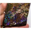 Image 1 : 647 CT NATURAL AMMOLITE