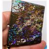 Image 2 : 647 CT NATURAL AMMOLITE