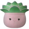 Image 1 : NEW ORIGINAL SQUISHMALLOW AFIYAH THE SUCCULENT IN