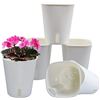 Image 1 : NEW 5 PACK OF SELF WATERING 6" PLANTERS, WHITE