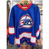 Image 1 : VINTAGE WINNIPEG JETS NHL JERSEY SIZE LARGE