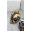 Image 8 : PUNK SKULL WITH COASTERS, COWBOY BOOT TOOTHPICK HOLDER AND SADDLE SALT AND PEPPER SHAKER SET
