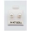 Image 1 : 14KT. YELLOW GOLD 6MM-6.5MM NATURAL FRESHWATER PEARL EARRINGS, W/A $365.00, PEARL IS THE BIRTHSTONE 