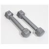 Image 1 : LOT OF TWO 1LB (EACH) DUMBBELLS