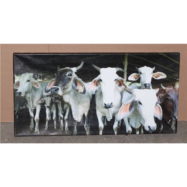 CATTLE CANVAS PRINT 12"X24"