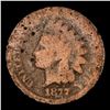 Image 2 : 1877 Indian Cent 1c Graded g4 By SEGS