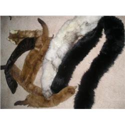 Minks, Wraps and Fur Collars