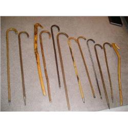Wood Cane Collection