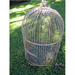 Iron Birdcage