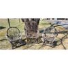 Image 1 : NO RESERVE Outdoor wicker chair collection 