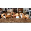 Image 1 : NO RESERVE 3 Chalk Dog Statues (triplets)