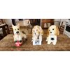 Image 1 : NO RESERVE 3 Chalk Dogs , one standing on ball