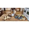 Image 1 : NO RESERVE 3 Chalk Dog Statues 