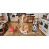 Image 1 : NO RESERVE Ceramic statues Rooster, Chalk Dog, Bear