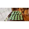 Image 1 : NO RESERVE RARE Vintage 90 piece collection of Fire King jadeite dishes.