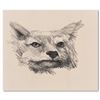 Image 1 : Foxy By Bragg Original