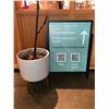 Image 2 : Contemporary white planter with wooden stand & small metal sign