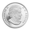 Image 3 : 2011 $20 Winter Scene - Sterling Silver Coin