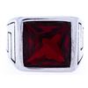 Image 2 : Gents Stainless Steel Ring, Size 12 Ruby Red Crystal Element
