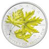 Image 1 : 2006 $5 Coloured Maple Leaf: Silver Maple - Pure Silver Coin