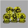 Natural Vivid Yellow Mali Garnet 5 Pcs{Flawless-VVS}