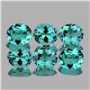 Image 1 : Natural Paraiba Green Blue Apatite 6 Pcs (Flawless-VVS)
