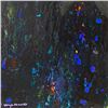 Image 2 : Untitled By Wyland Original