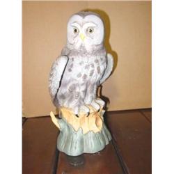 Ski Country Decanter