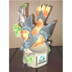 Ski Country Decanter